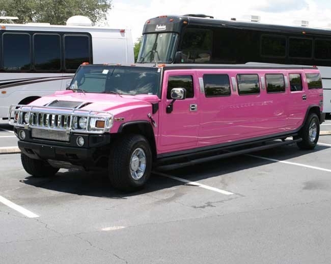 Novelty Vehicle Hire image 23