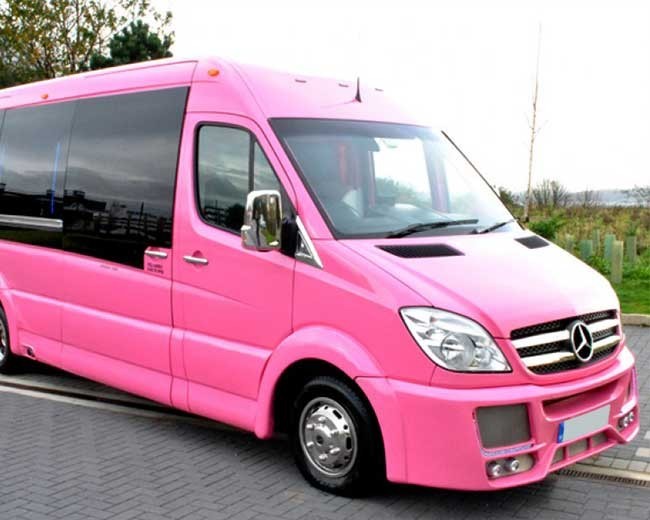 Novelty Vehicle Hire image 23
